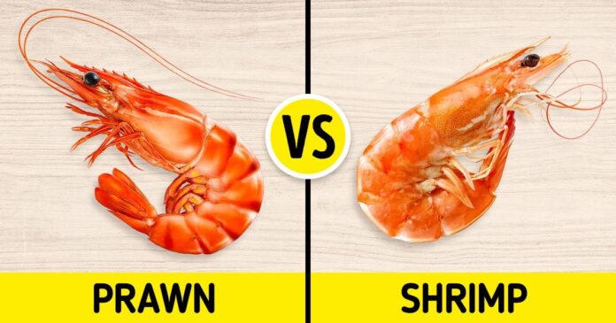 Comparing Similar Foods for Eating Healthier