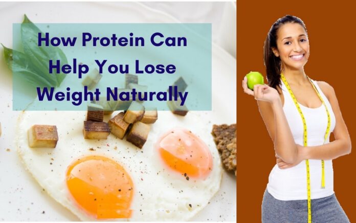 How Protein Can Help You Lose Weight Naturally